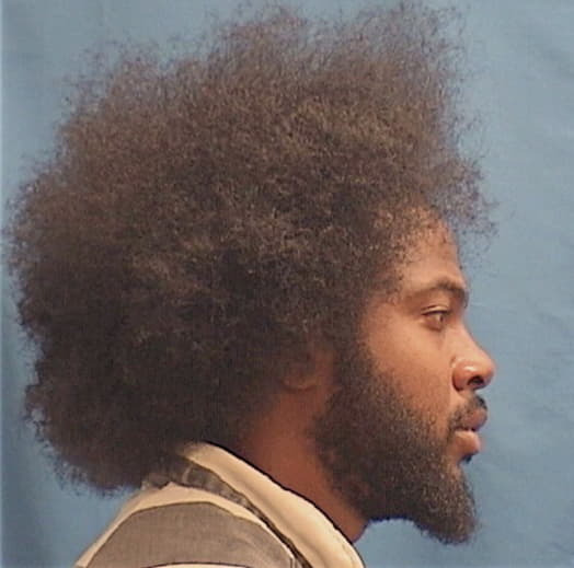 WILLIAMS, ARSEAN, Cook County  IL
