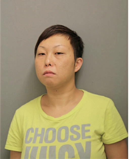 KAM W CHAN, Cook County, Illinois
