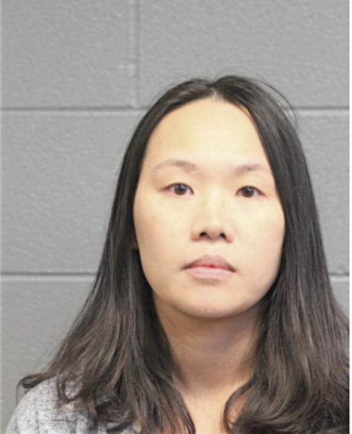 WEI W GOH, Cook County, Illinois