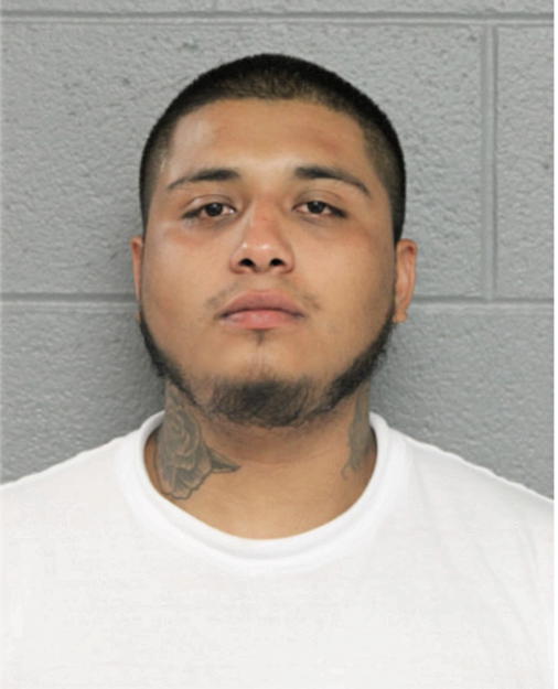 NELSON A SOTO, Cook County, Illinois
