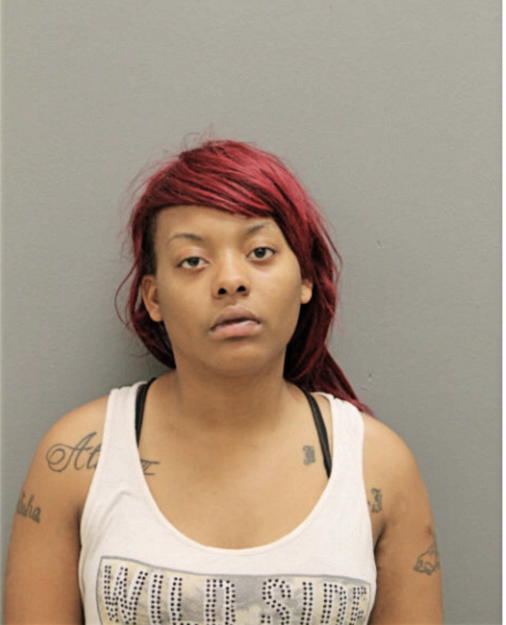 TIERRA L CURRY, Cook County, Illinois