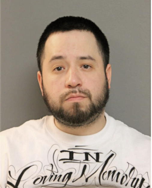 MICHAEL A SANDOVAL, Cook County, Illinois