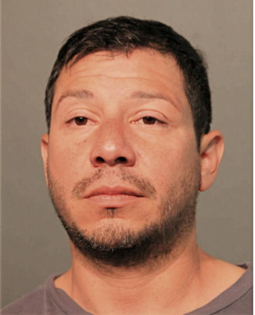 MICHAEL A HERNANDEZ, Cook County, Illinois