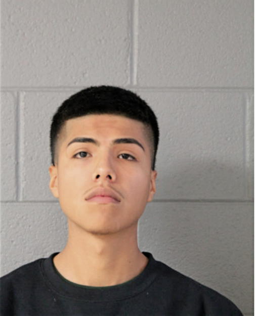 MARIO D GARCIA-ARELLANEZ, Cook County, Illinois