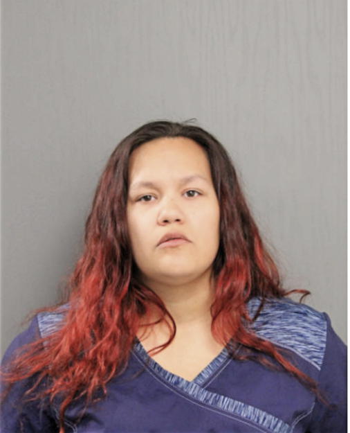 ROSELLEN M NUNEZ, Cook County, Illinois