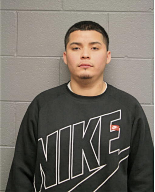 MICHAEL A RODRIGUEZ, Cook County, Illinois