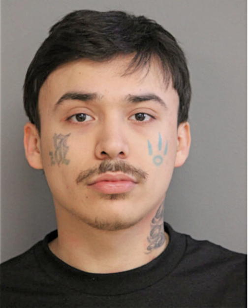 DAMON SANDOVAL, Cook County, Illinois