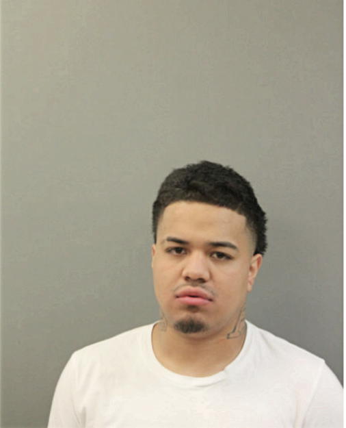 CHRISTOPHER GALEANA, Cook County, Illinois