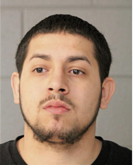 ANTHONY M MENDOZA, Cook County, Illinois