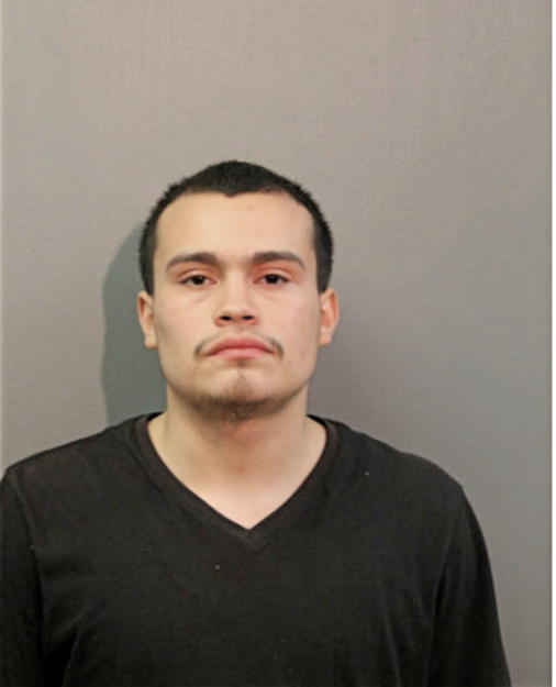 BRIAN RODRIGUEZ, Cook County, Illinois