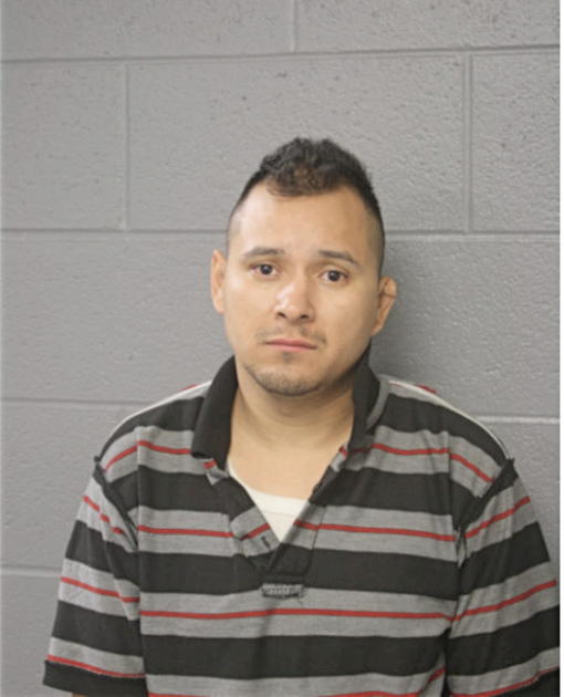 JOSE M MARQUEZ, Cook County, Illinois