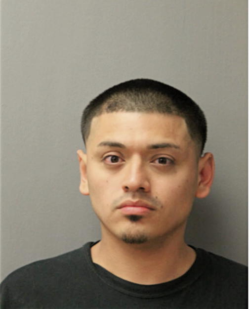 JOSE A MENDOZA, Cook County, Illinois