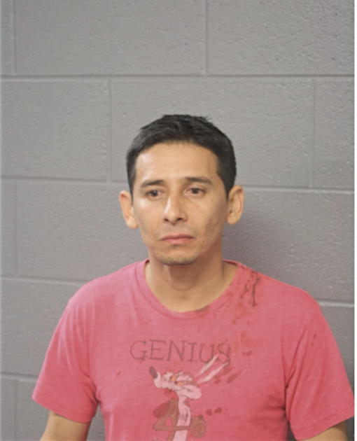 MILTON GONZALEZ, Cook County, Illinois