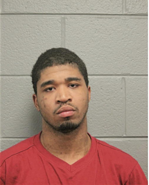 TYRON L LEE, Cook County, Illinois