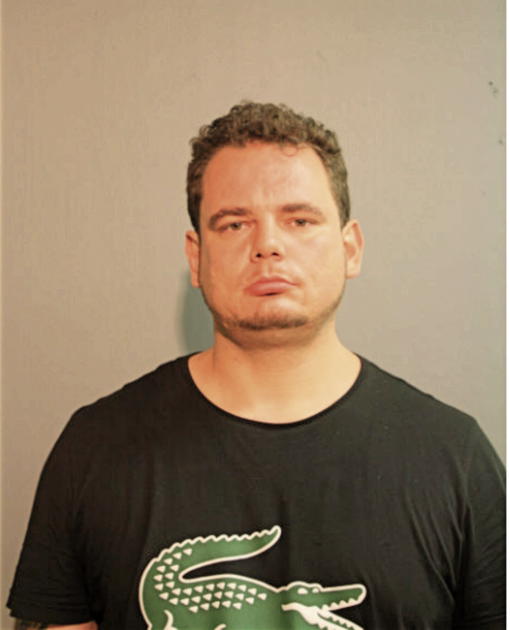 MICHAEL A OLIVO, Cook County, Illinois