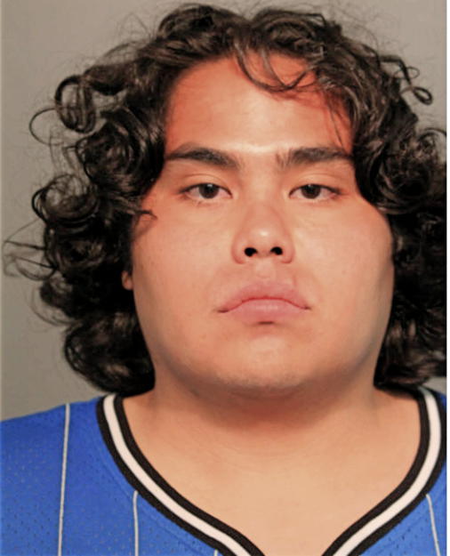 NICHOLAS GARCIA, Cook County, Illinois