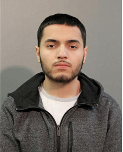 VICTOR M RAMIREZ, Cook County, Illinois