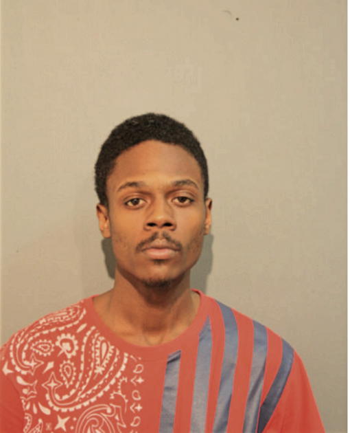 SEAN L JONES, Cook County, Illinois