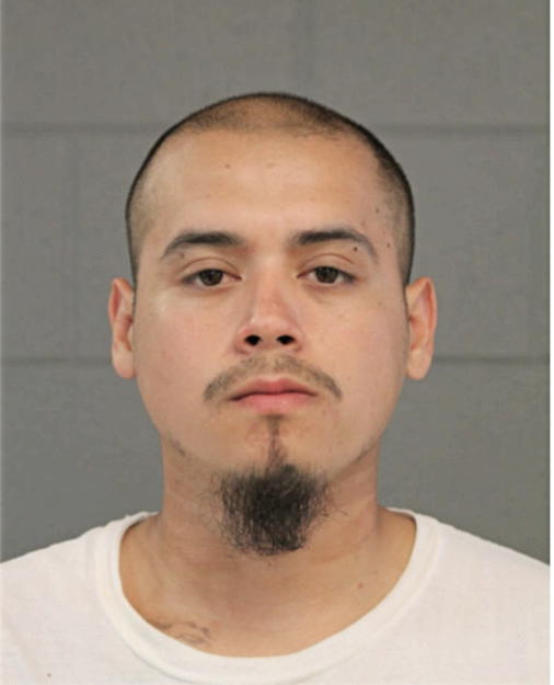 GABRIEL B ORDAZ, Cook County, Illinois