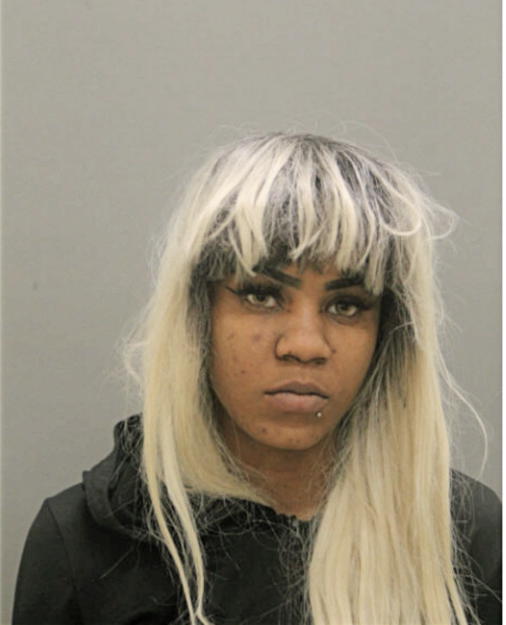 BRITTANY S JOHNSON, Cook County, Illinois