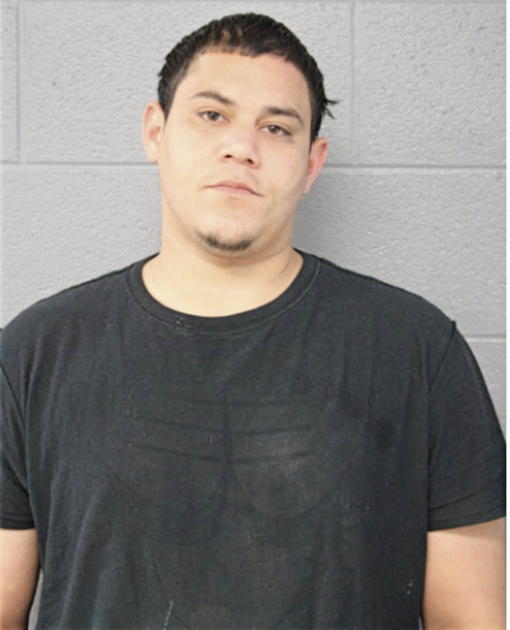 LUIS E GONZALEZ-ORTEGA, Cook County, Illinois