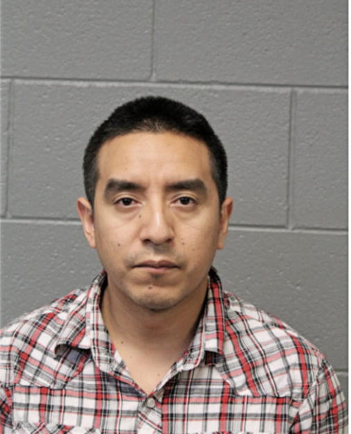 FELIPE S CERVANTES, Cook County, Illinois