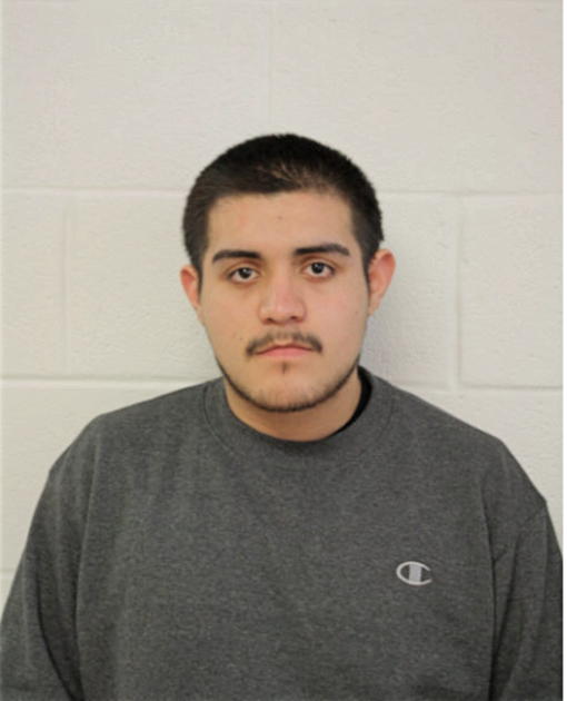 RODRIGO MARIN, Cook County, Illinois