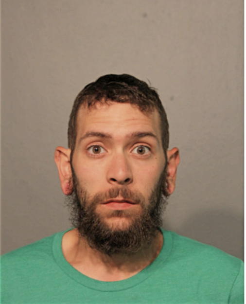 DANIEL L TORRES, Cook County, Illinois