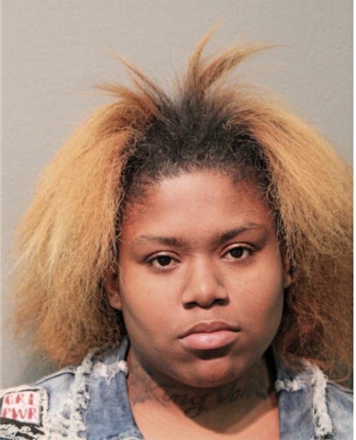 SHAVANNA L PRIDE, Cook County, Illinois