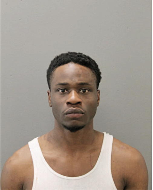 BRANDON L WILSON, Cook County, Illinois