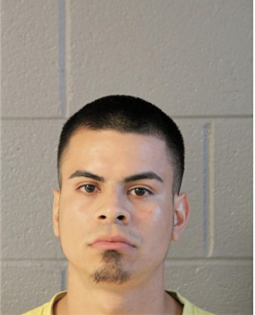 JOSE A MEJIA, Cook County, Illinois