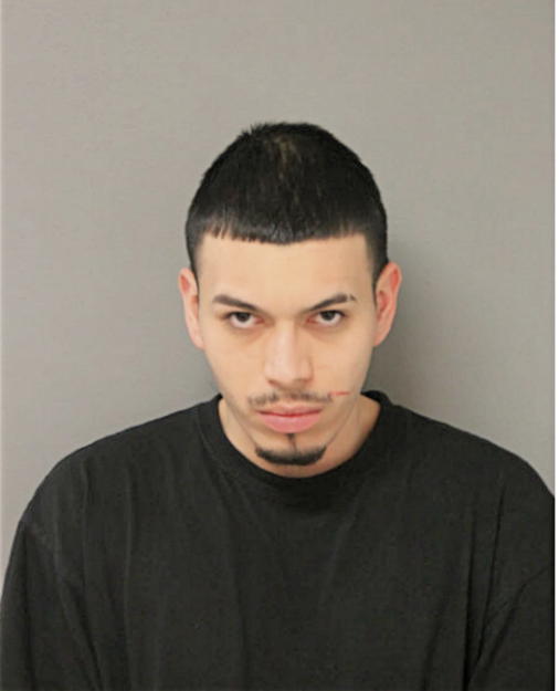 ROBERTO NAVARRO-REYES, Cook County, Illinois