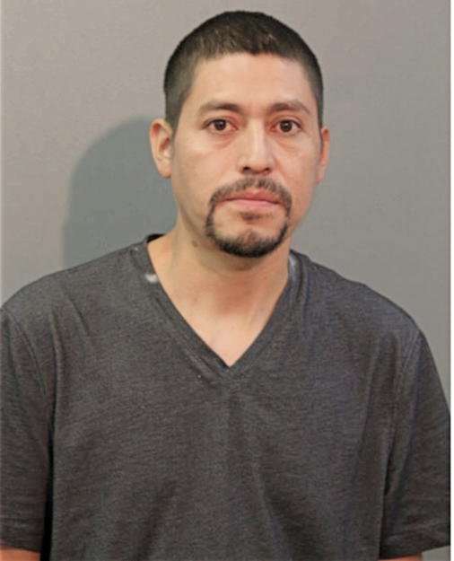 ARTURO SANCHEZ, Cook County, Illinois