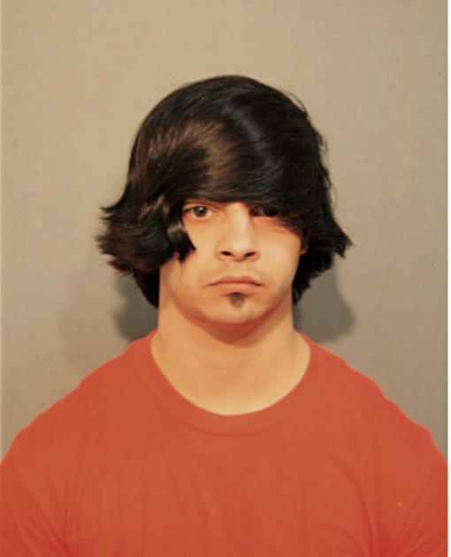 DYLAN SARKEZI, Cook County, Illinois