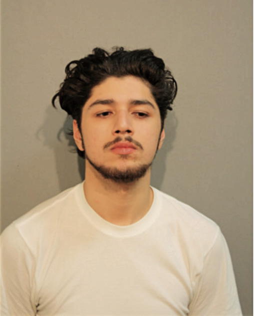 MATTHEW J MEDRANO, Cook County, Illinois