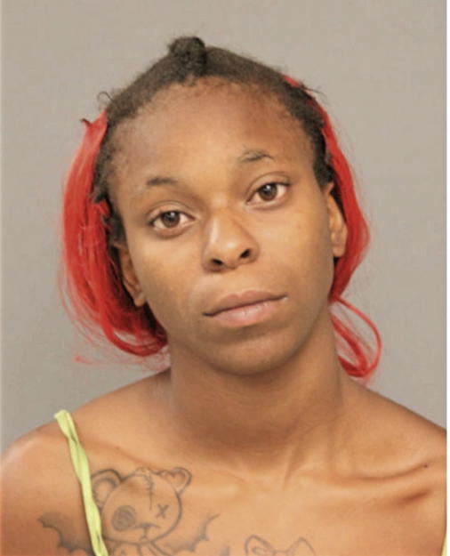 DIONNA M GOODWIN, Cook County, Illinois