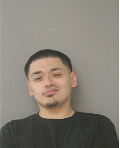 JOSE A MENDOZA, Cook County, Illinois