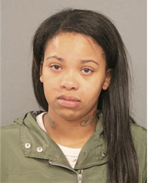 SHENEECE HILL, Cook County, Illinois