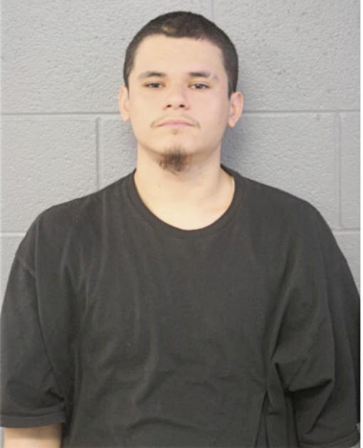 CHRISTIAN REA PENA, Cook County, Illinois