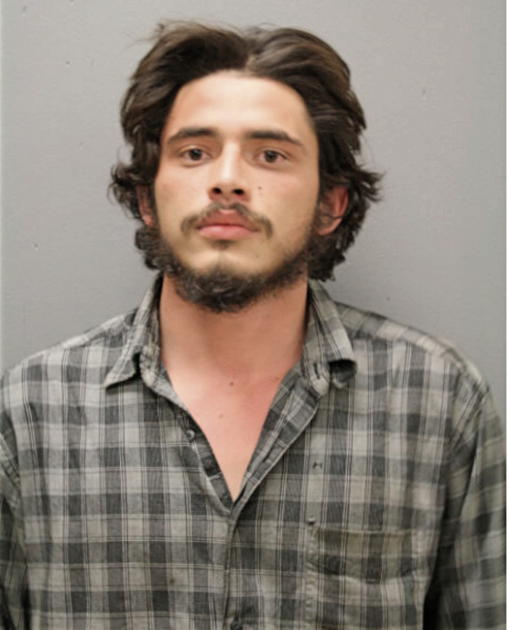 SERGIO L COVARRUBIAS-MATA, Cook County, Illinois