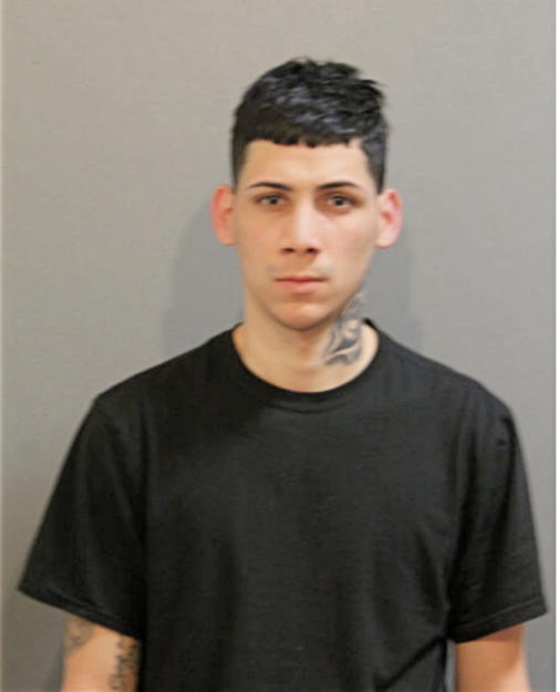 MIKE D LOPEZ-ROSARIO, Cook County, Illinois