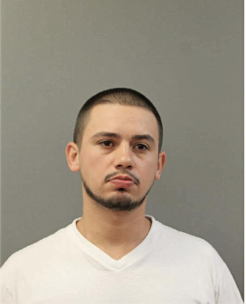 JOSE L SALAZAR, Cook County, Illinois