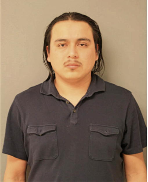 LUIS ESTEVEZ, Cook County, Illinois