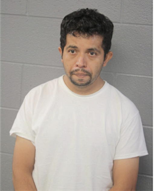 MARCOS TORRES, Cook County, Illinois