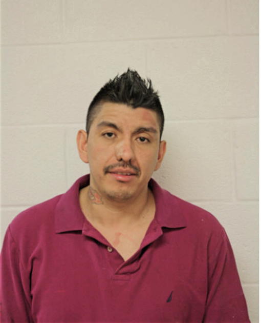 JOSE L ROMERO-FERNANDEZ, Cook County, Illinois