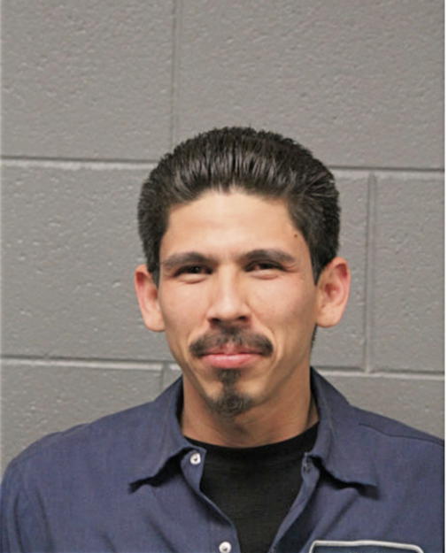 RAUL DELGADO, Cook County, Illinois