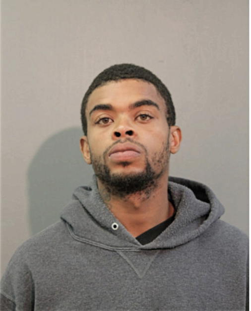 TYRELL J LEE, Cook County, Illinois