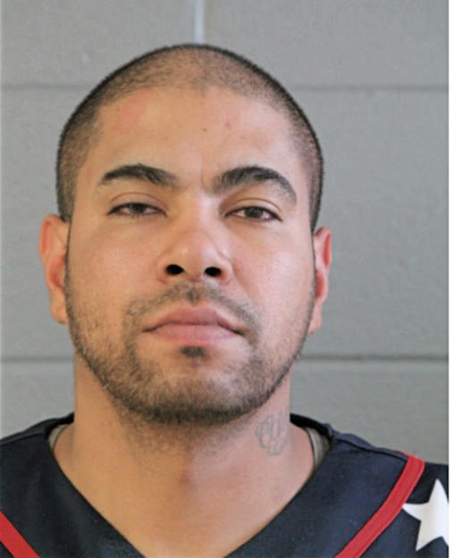 HECTOR R DELGADO, Cook County, Illinois