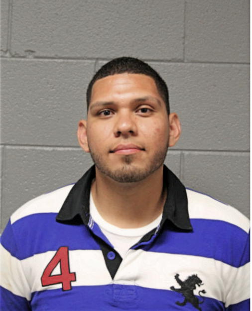 GUSTAVO A GARCIA, Cook County, Illinois