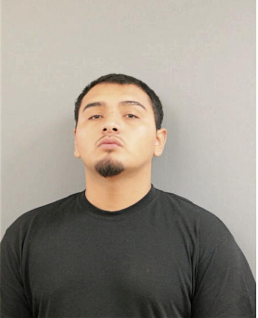 LUIS ALCARAZ GARCIA, Cook County, Illinois